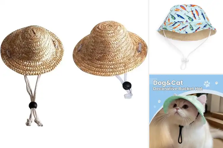 Detailed view of Best Stylish Pet Hats: Protect & Pamper Your Pet in Style