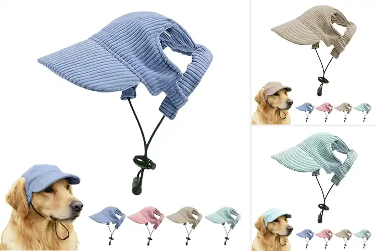 Detailed view of Best Summer And Fall Beach Hat For Pets