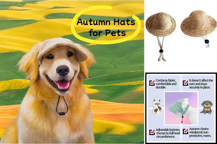 Detailed view of Best Summer & Fall Pet Hats