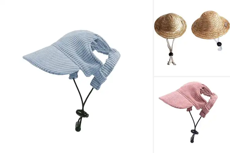 Detailed view of Best Summer Pet Hats: Keep Your Pet Stylish & Sun-Safe