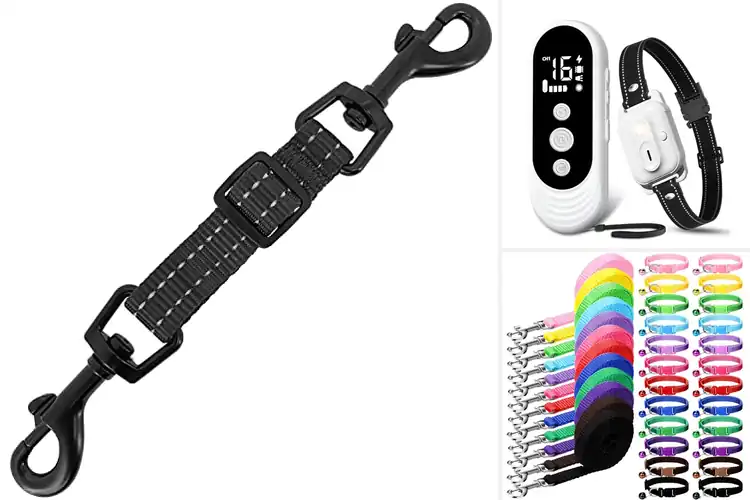 Detailed view of Best Training And Walking Collar For Small Pets