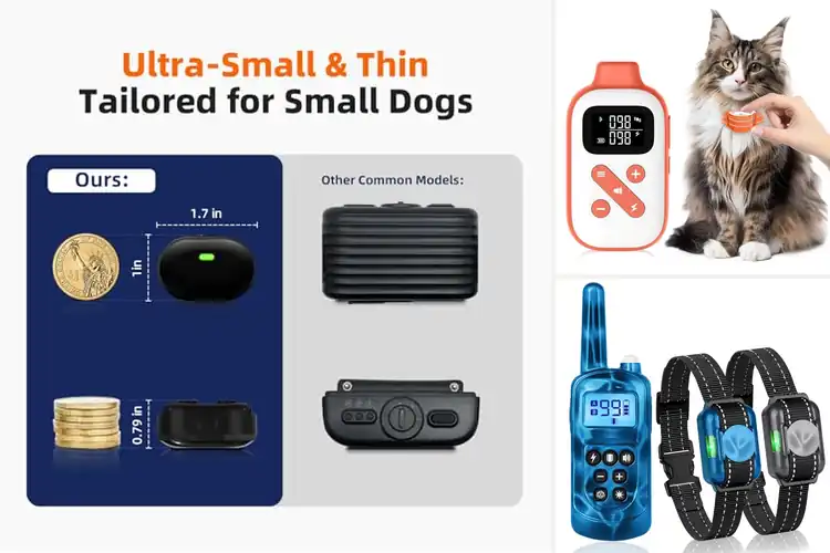 Detailed view of Best Training Cat Collars: Smart, Gentle, and Safe Solutions