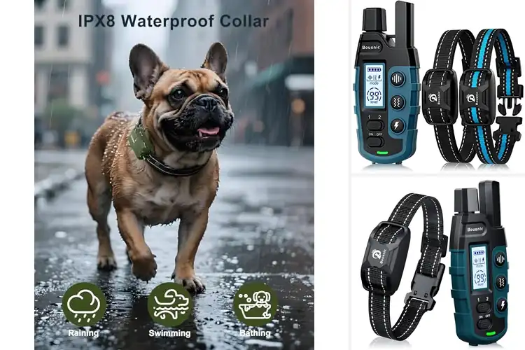 Detailed view of Best Training Collars: Happy Dog, Happy You