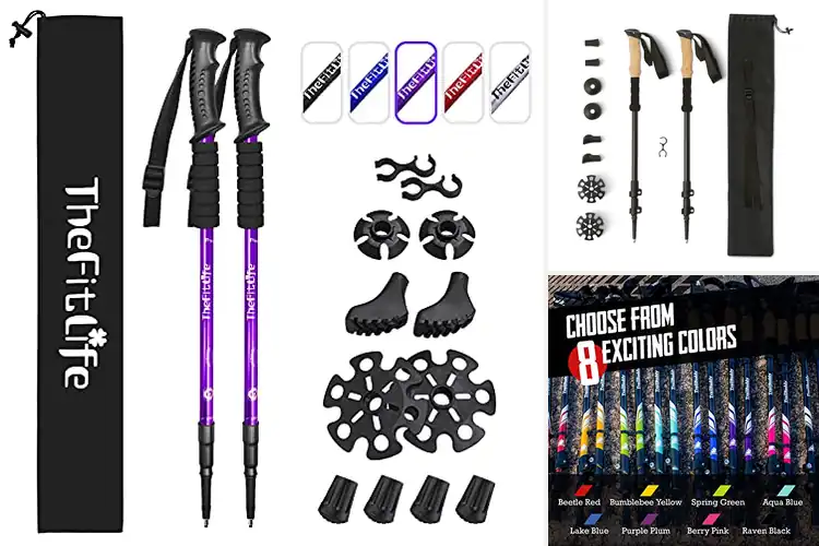 Detailed view of Best Trekking Poles