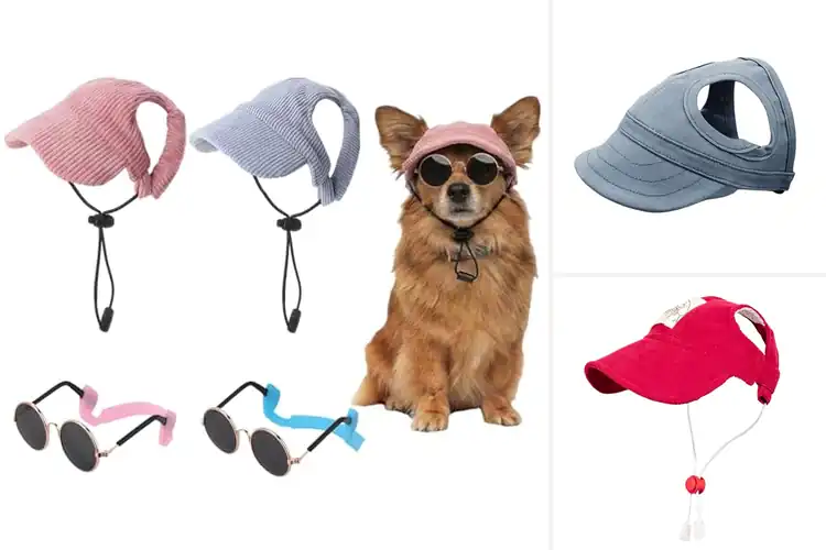 Detailed view of Best Trendy Pet Caps: Style & Comfort for Adventures