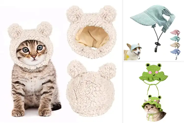 Detailed view of Best Trendy Pet Hat For Fall Outings