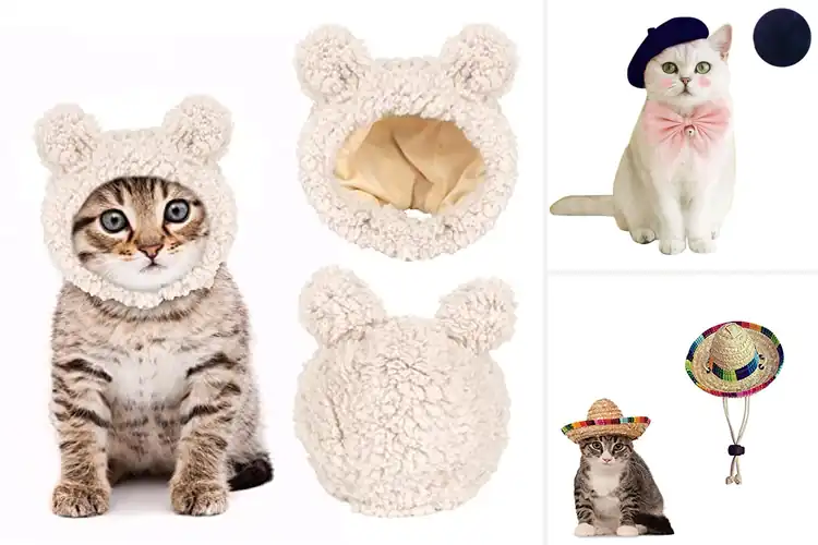 Detailed view of Best Trendy Pet Hats: Stylish, Cozy, and Head-Turning