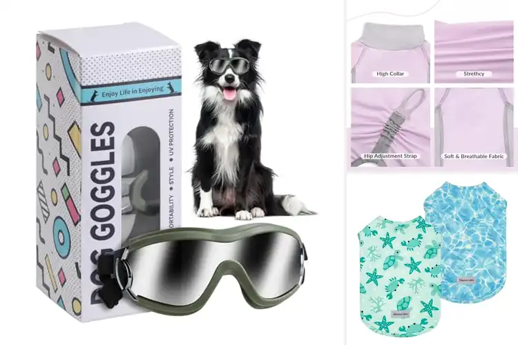 Detailed view of Best UV Protection For Pets