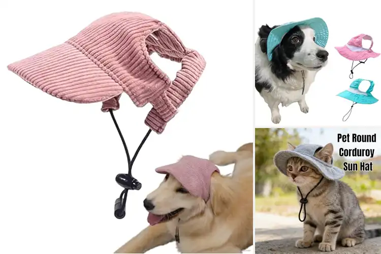 Detailed view of Best UV Protection Pet Hats