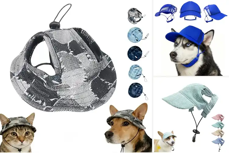Detailed view of Best UV Protection Pet Headwear For Fall