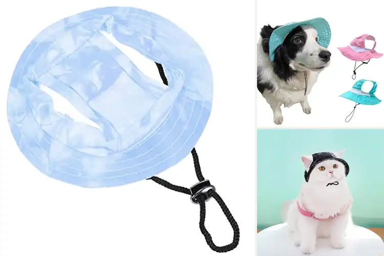 Detailed view of Best UV Protection Pet Headwear: Stylish Sun Safety for Pets