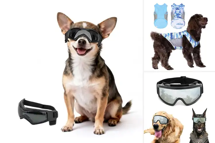Detailed view of Best UV Protective Pet Gear: Keep Your Pet Safe & Stylish