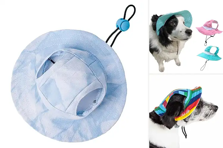Detailed view of Best UV Protective Pet Hats: Stylish Sun Safety for Pets