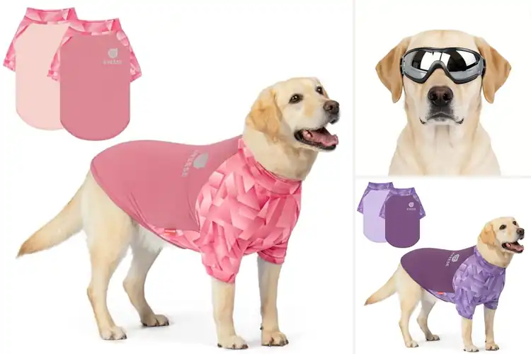 Detailed view of Best UVProtection For Pets