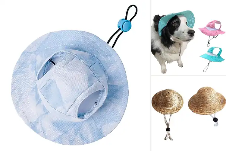 Detailed view of Best UVProtection Pet Hats: 10 Stylish & Safe Outdoor Picks