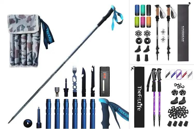 Detailed view of Best Versatile Hiking Poles