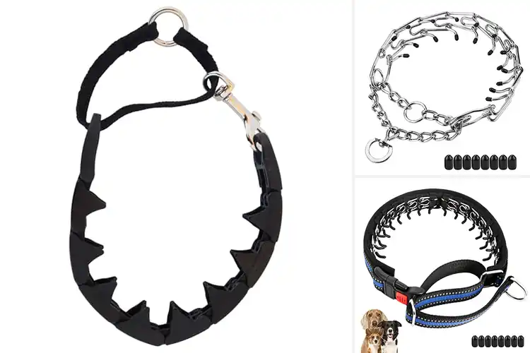 Detailed view of Best Walking Collars