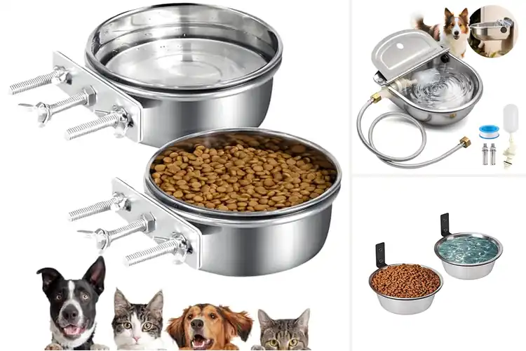Detailed view of Best Wall Mountable Water Bowl With Bolts