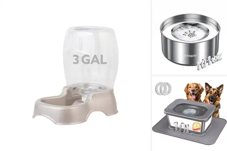 Detailed view of Best Water Saving Water Bowls