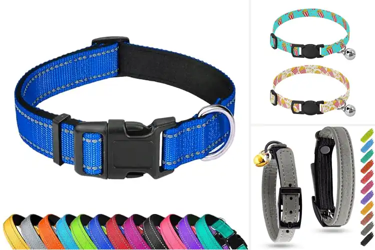 Detailed view of Best Wear Resistant Pet Collar For Small Pets