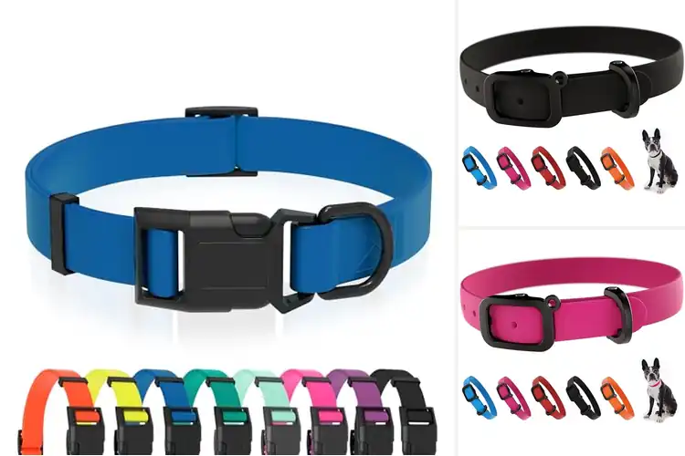 Detailed view of Best Wear Resistant Pet Collar