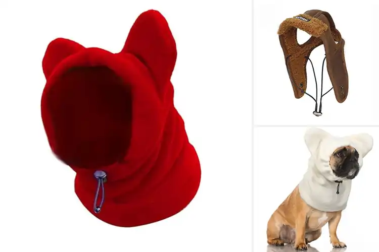 Detailed view of Best Weather-Resistant Pet Hats: Protect & Fit All Sizes