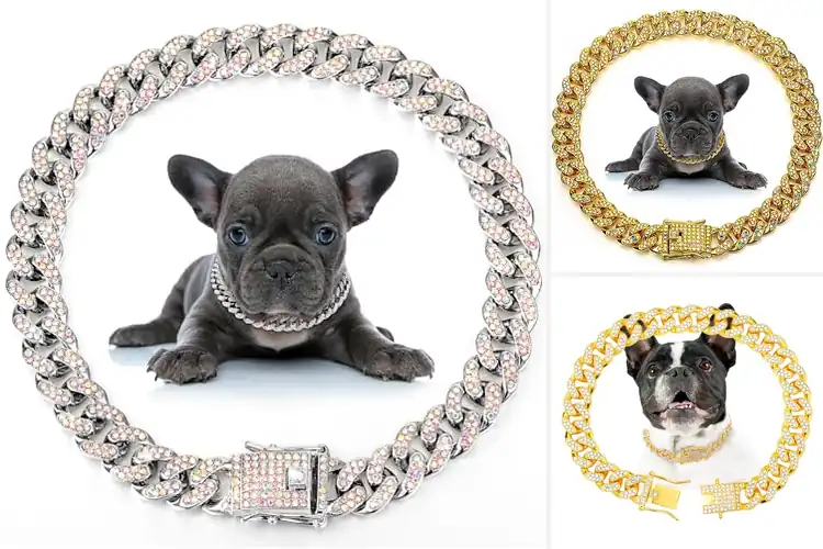 Detailed view of Best Zinc Alloy Diamond Collar Material