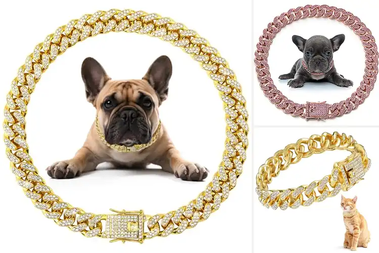 Detailed view of Best Zinc Alloy Diamond Link Collars For Small Pets